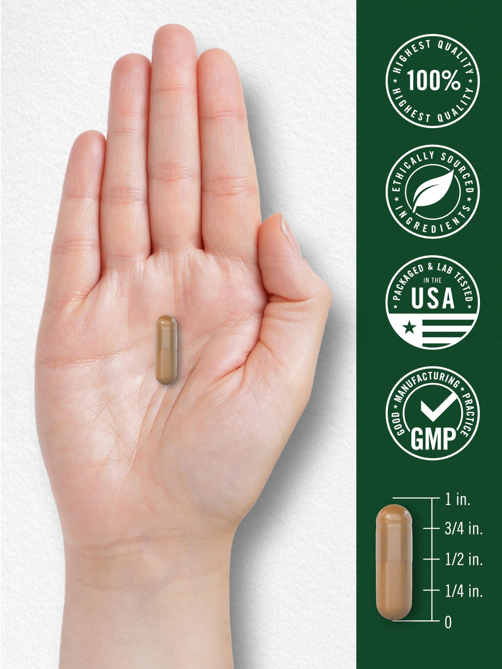 Carlyle Reishi Mushroom Capsules - 300 Count - image 7