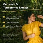 NORTH AMERICAN HERB & SPICE Turmeric Power-Plus - 120 Capsules - image 2