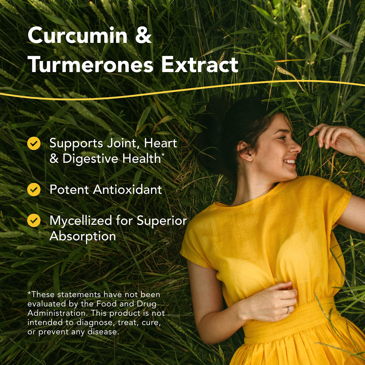 NORTH AMERICAN HERB & SPICE Turmeric Power-Plus - 120 Capsules - image 2