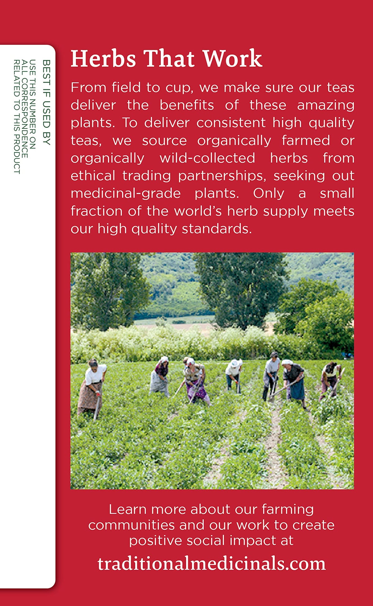 Traditional Medicinals Organic Echinacea Plus Elderberry Herbal Tea - image 3