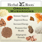 Herbal Roots Organic Mushroom Capsules Immune Support - 60 Vegan Capsules - image 3
