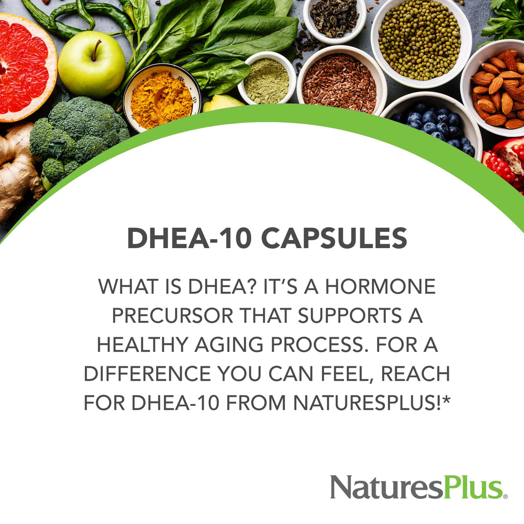 NaturesPlus DHEA-10 Capsules for Energy & Healthy Aging - 90 Capsules - image 4