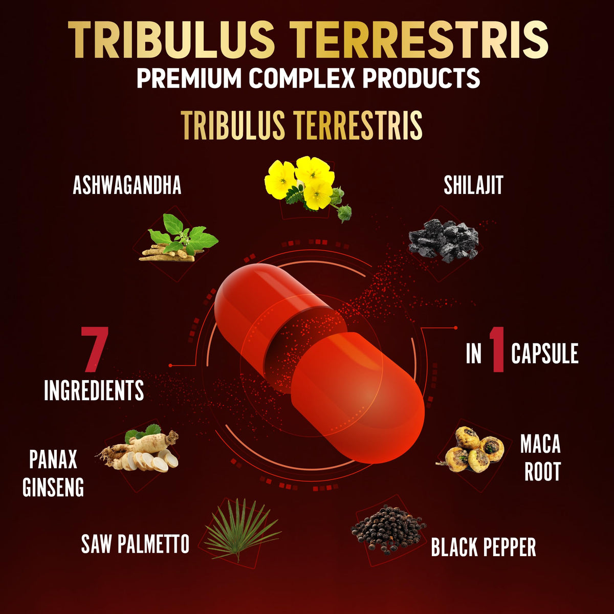 Zolotus HERBAL_SUPPLEMENT