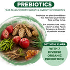Vital Planet Vital Flora Adults Over 50 Daily Probiotic 60 Billion CFU - image 5