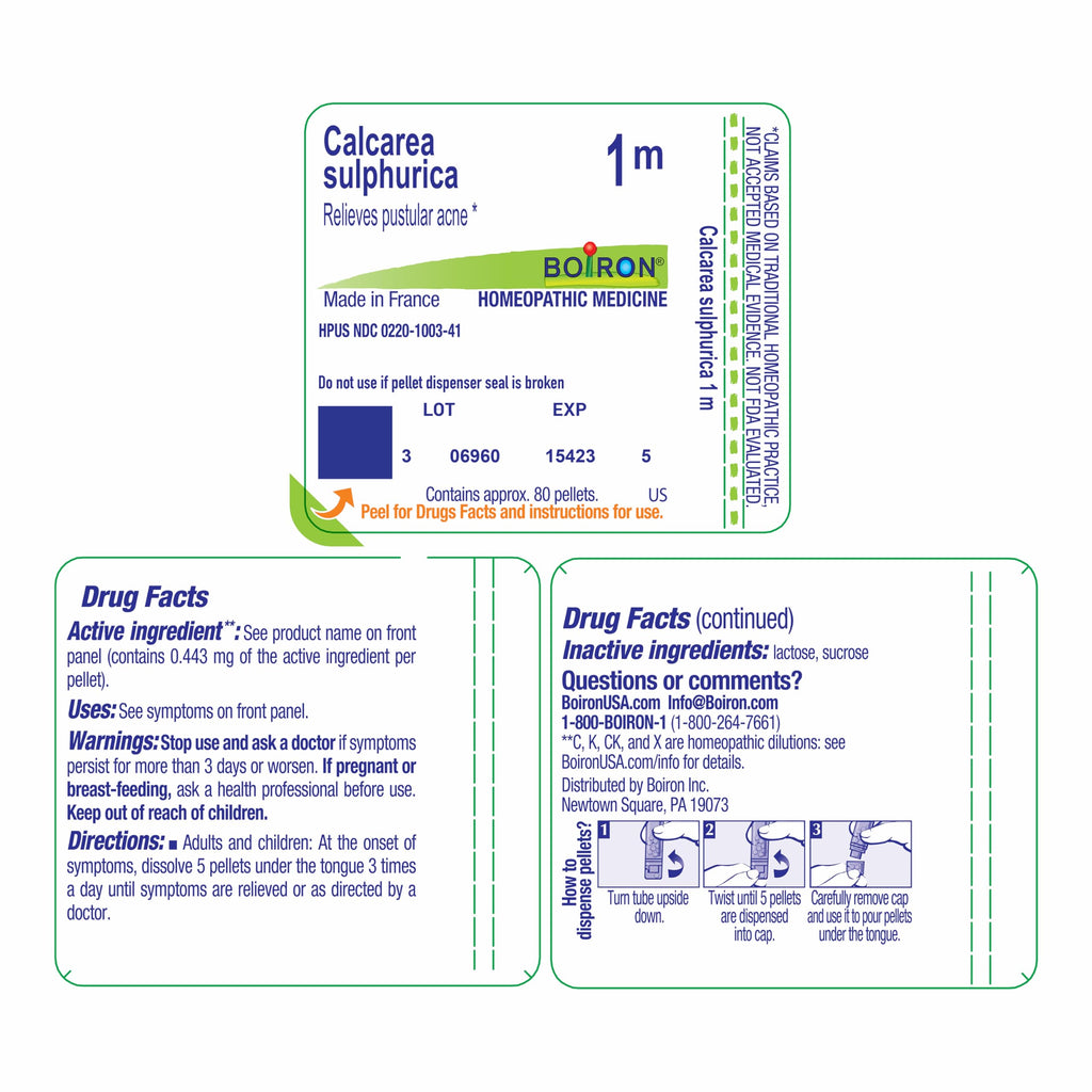 Boiron Calcarea Sulphurica 1M for Pustular Acne - 80 Pellets - image 8