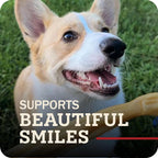 Redbarn 30" Collagen Sticks Dog Treat - image 4