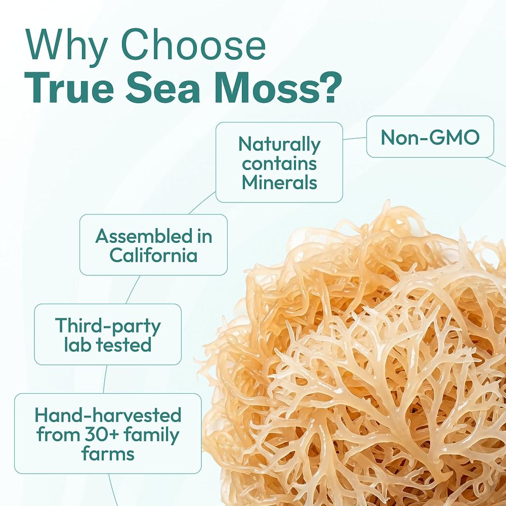 TrueSeaMoss True Sea Moss Mango/Pineapple Gel - 16 Fl Oz - image 8
