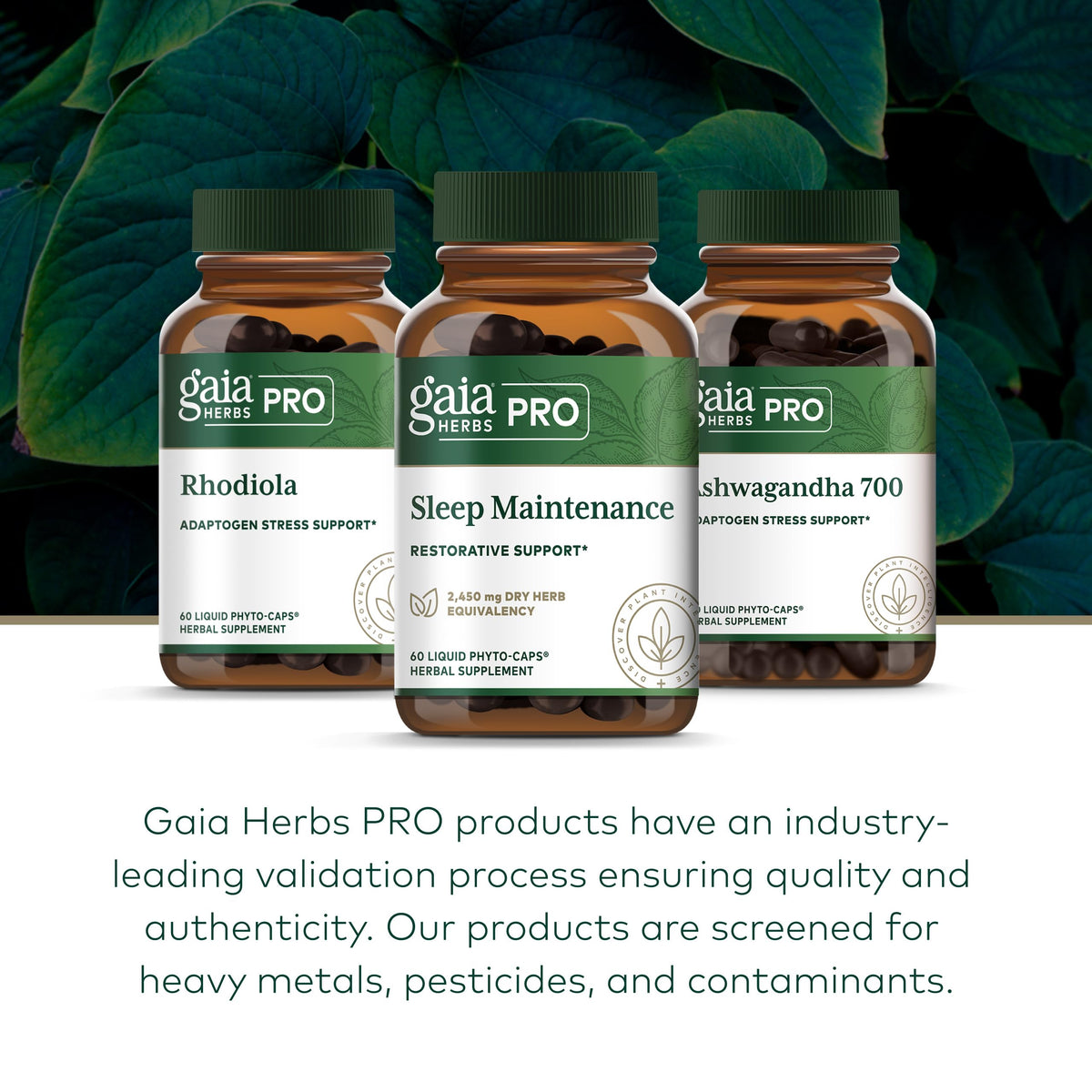 Gaia Herbs PRO Sleep Maintenance - 60 Vegan Capsules - image 6