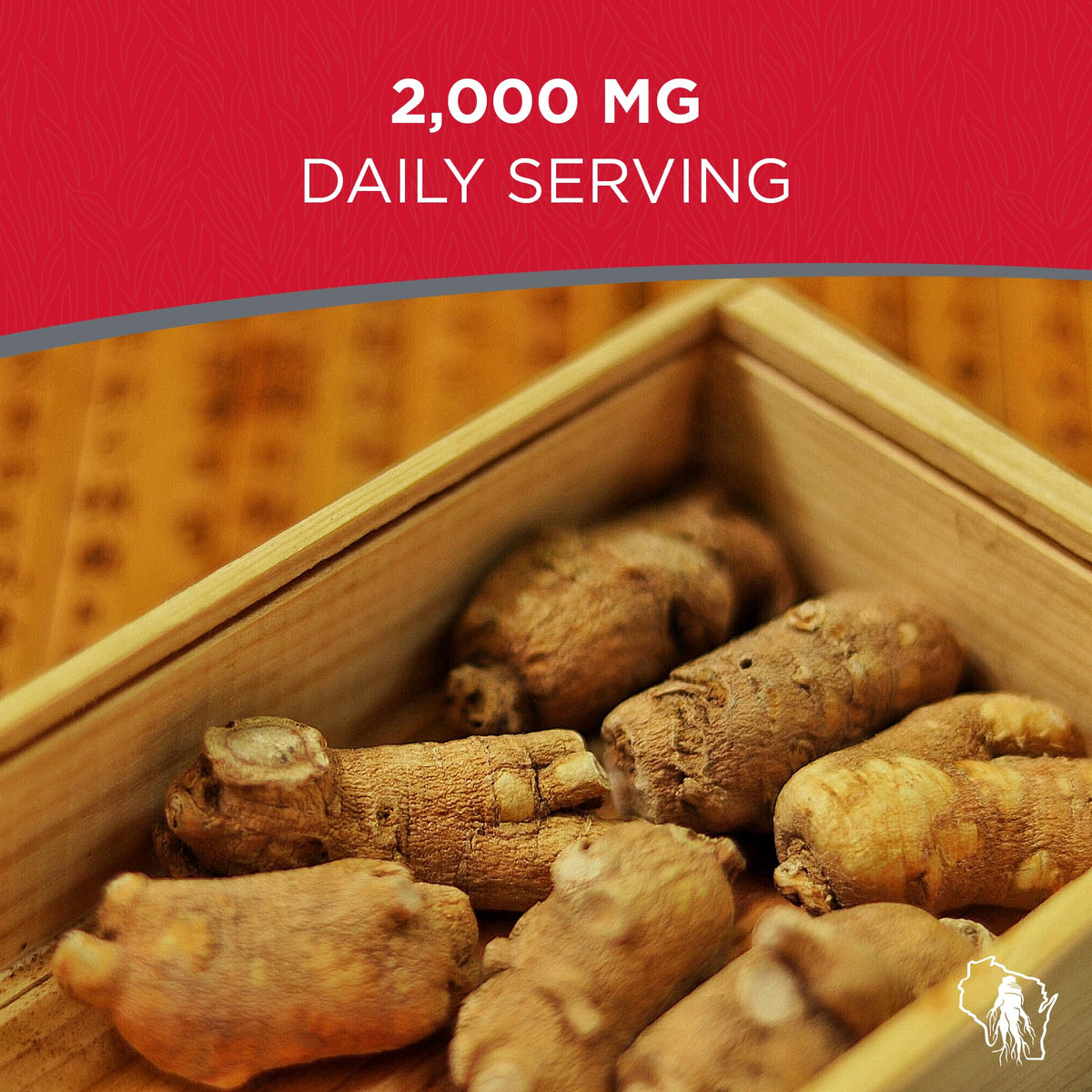 Dairyland Notoginseng Capsules for Immune Support - 75 Count - image 4