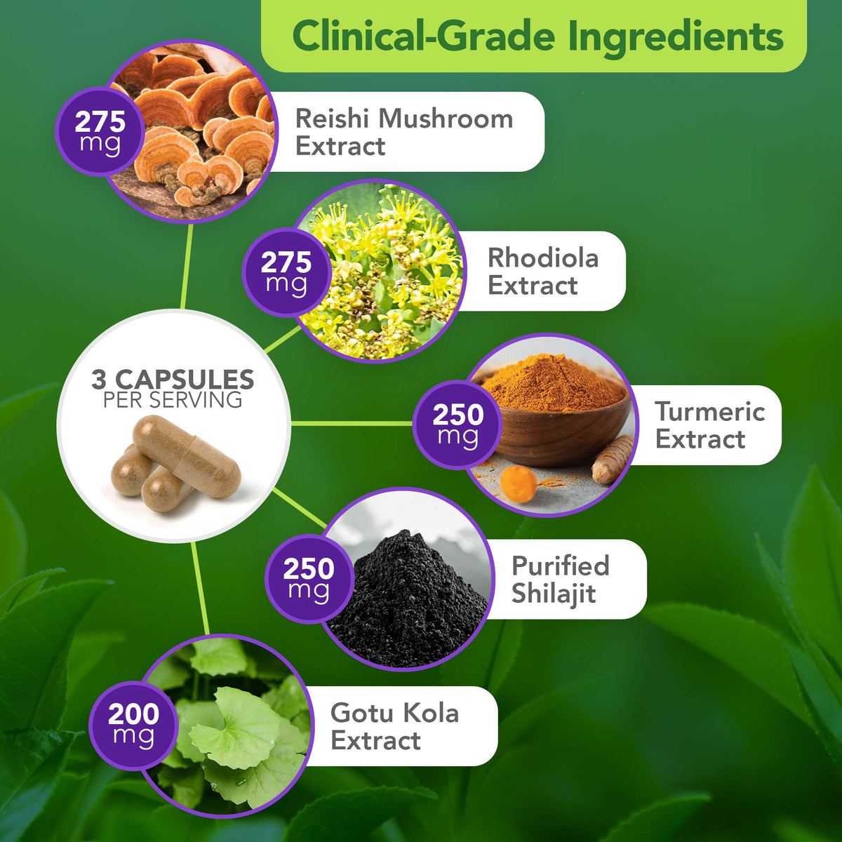 Vital Plan Daily Herbal Supplement for Immune Support - 90 Capsules - image 4