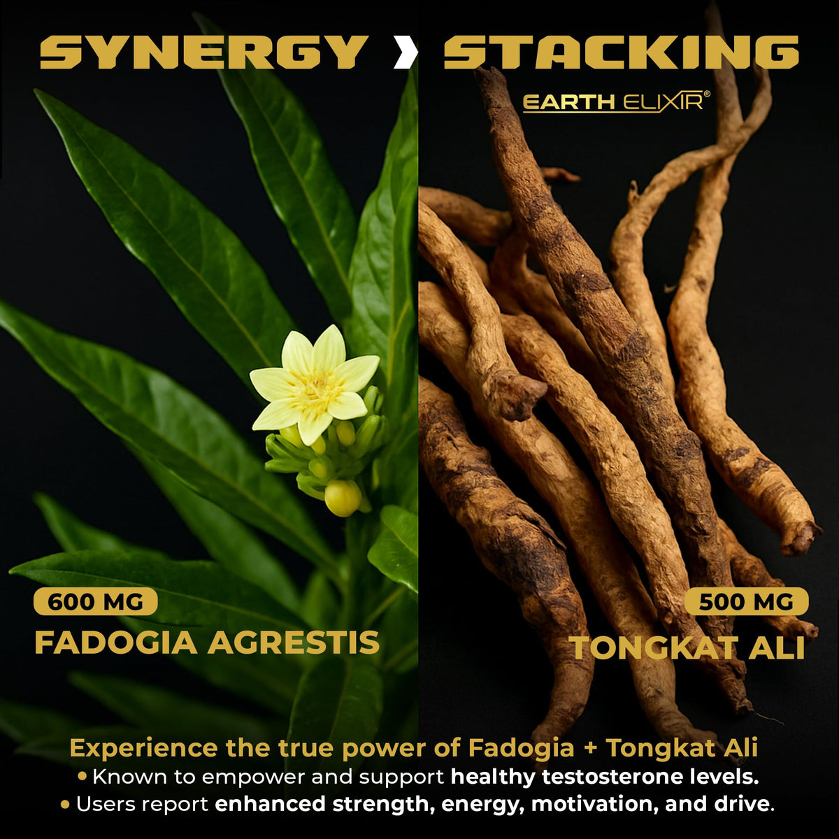 Earth Elixir Fadogia Agrestis & Tongkat Ali Testosterone Support - 180 Capsules - image 3