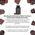 PakShilajit Pure Himalayan Shilajit Gummy Energy & Immunity - 60 Gummies - image 6