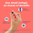 NativePath Wild-Caught Antarctic Krill Oil 500mg - 30 Softgels - image 3