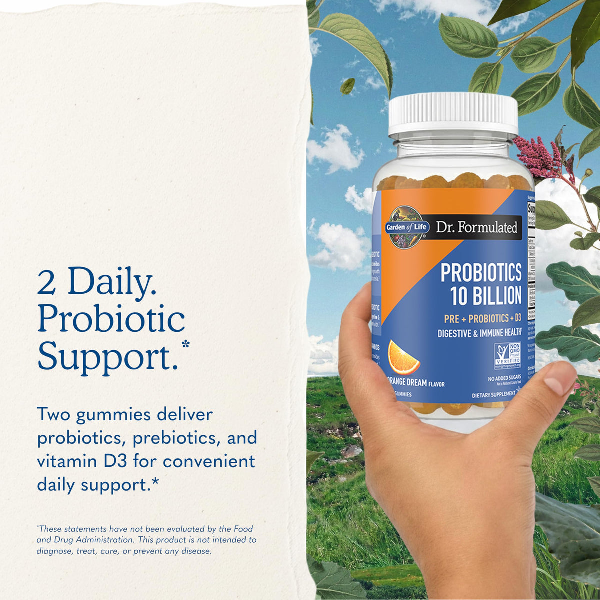 Garden of Life Dr. Formulated Probiotic Gummies Orange Dream - 60ct - image 7