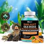 WEEVIT Ashwagandha Gummies with Shilajit & Sea Moss - 120 Gummies - image 6