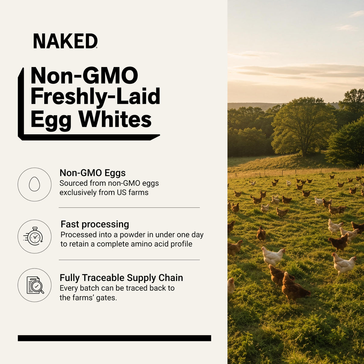 NAKED Egg White Protein Powder Unflavored - 3 Pounds - image 2