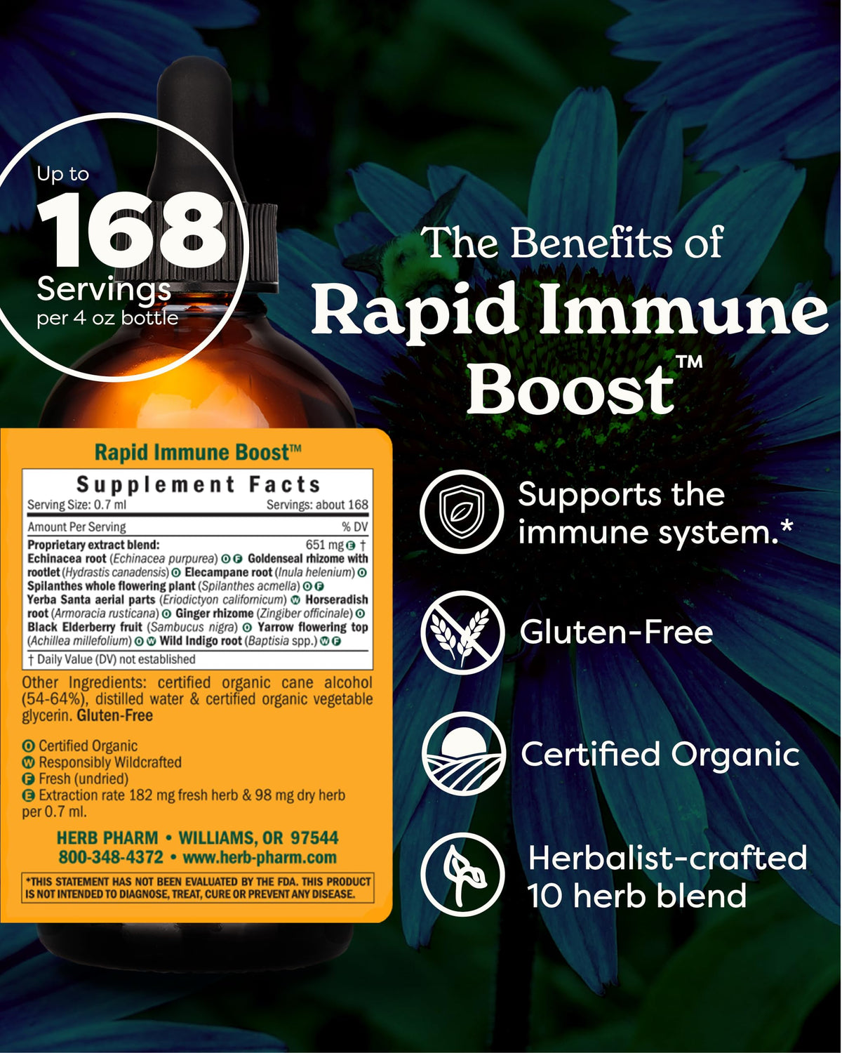 Herb Pharm Rapid Immune Boost Echinacea Tincture - 4 Fl Oz - image 2
