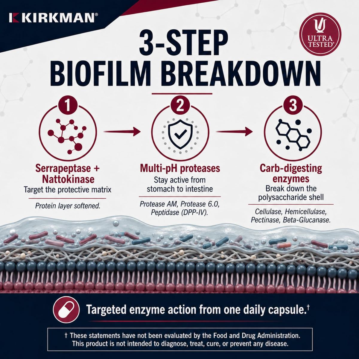 Kirkman Biofilm Defense Intestinal Biofilm Disruptor - 60 Vegetarian Capsules - image 3