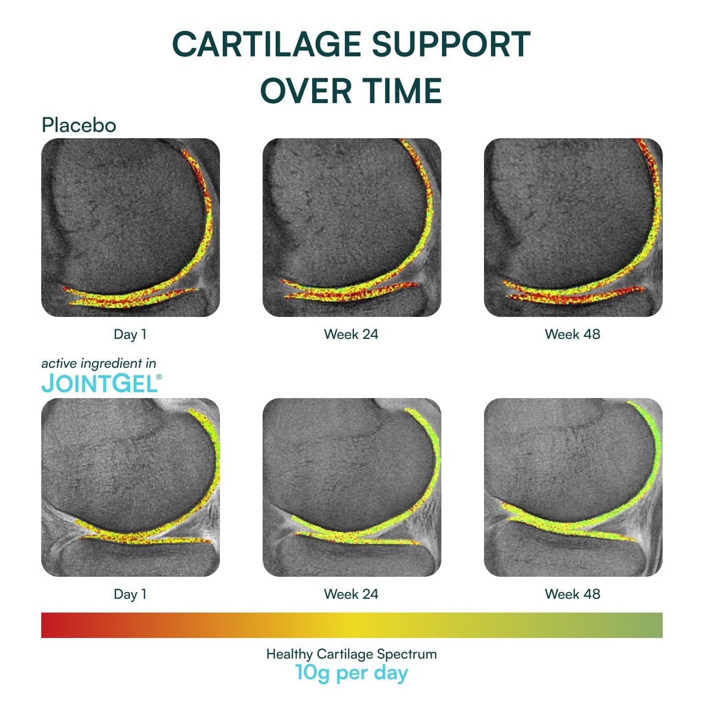Purity Products JointGel Collagen Peptides with MSM Powder - 30 Servings - image 4