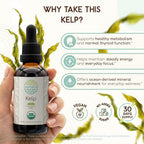 HerbEra Kelp USDA Organic Tincture