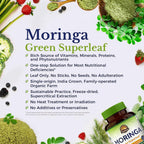 Vitalitown Moringa Capsules 11,000 MG, Pure Moringa Oleifera Leaves