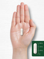 Carlyle Celery Seed Extract Capsules - 240 Count - image 7