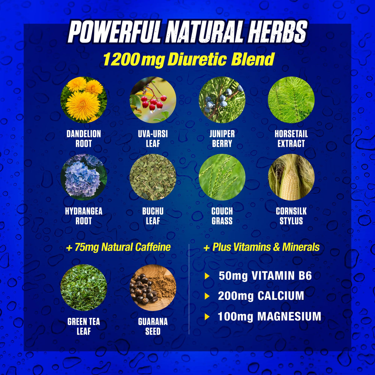 Maximum Human Performance Xpel Maximum Strength Diuretic - 80 Capsules - image 5