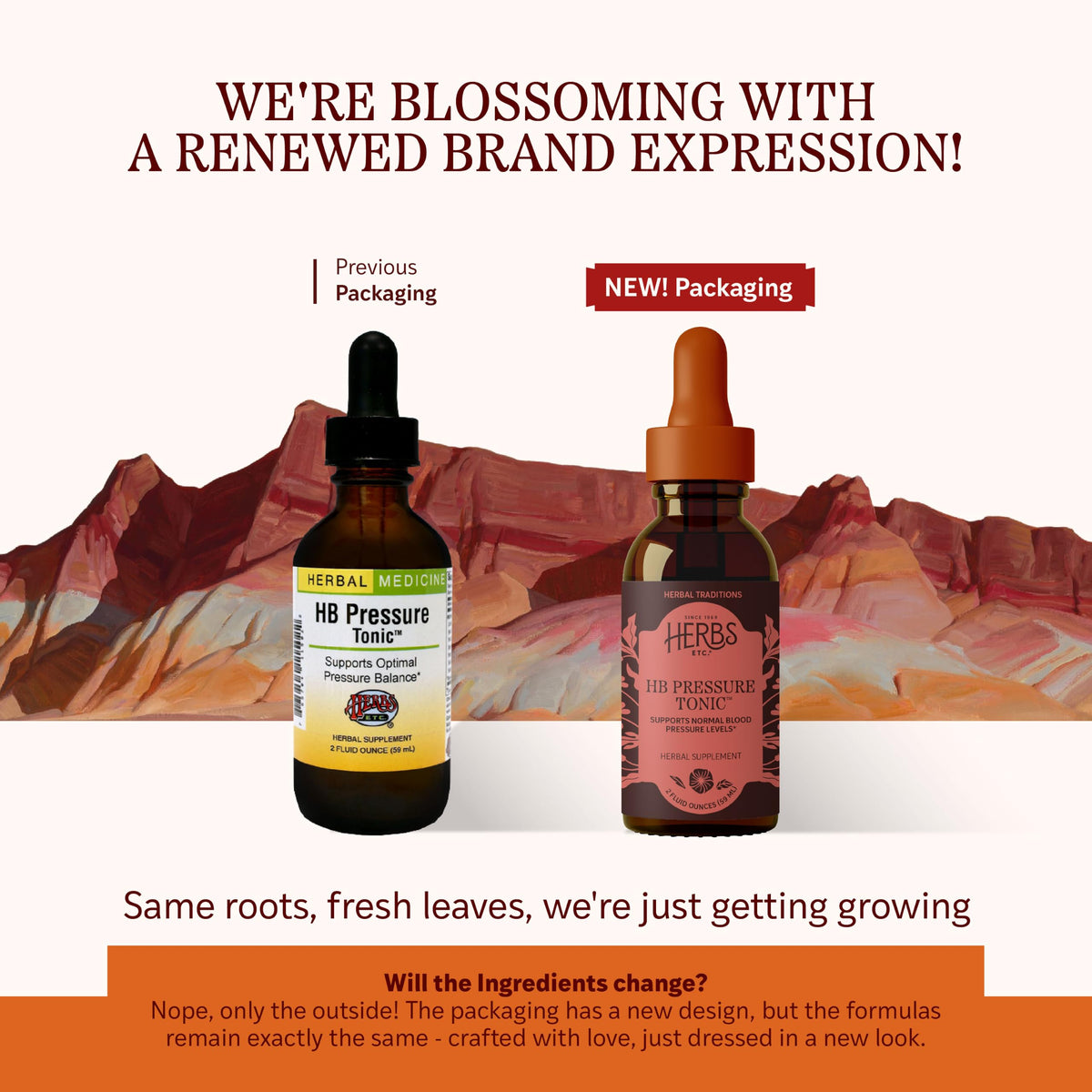 Herbs Etc. HB Pressure Tonic Classic Liquid Extract - 2 fl oz - image 2