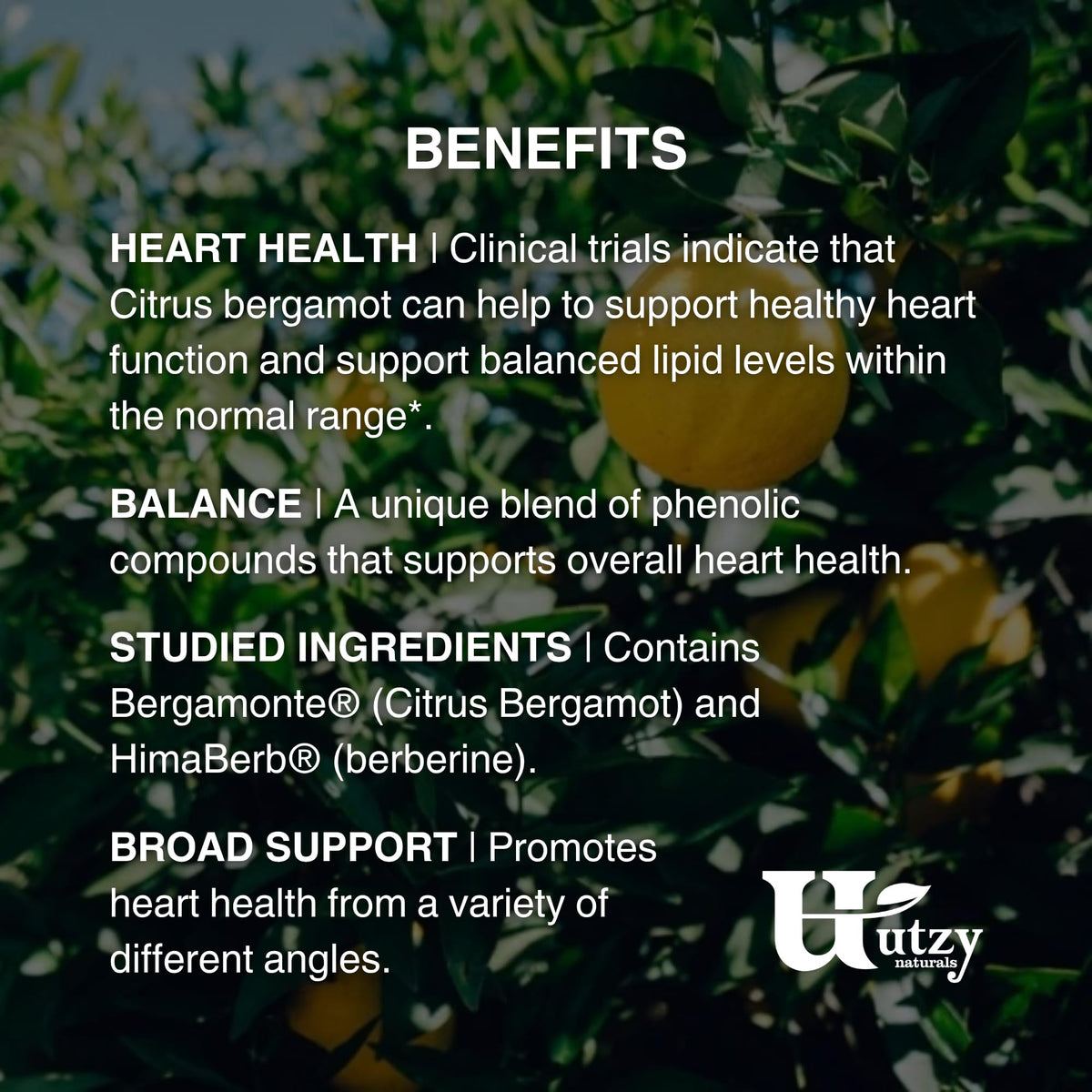 Utzy Naturals Berbercol Heart Health Blend - 60 Capsules - image 5