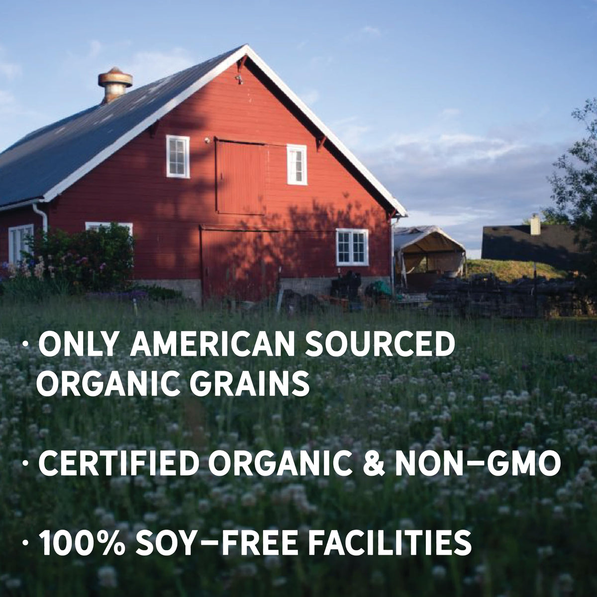 New Country Organics Alfalfa Pellets for Livestock - 50 lbs - image 2