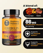 Herb Pharm Mushroom Wellness Cordyceps Blend with Reishi - 90 Capsules - image 2