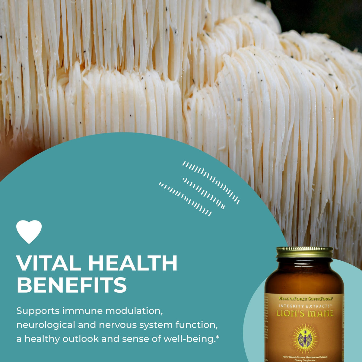 HEALTHFORCE SUPERFOODS Integrity Extracts Lion's Mane Powder - 60g - image 5