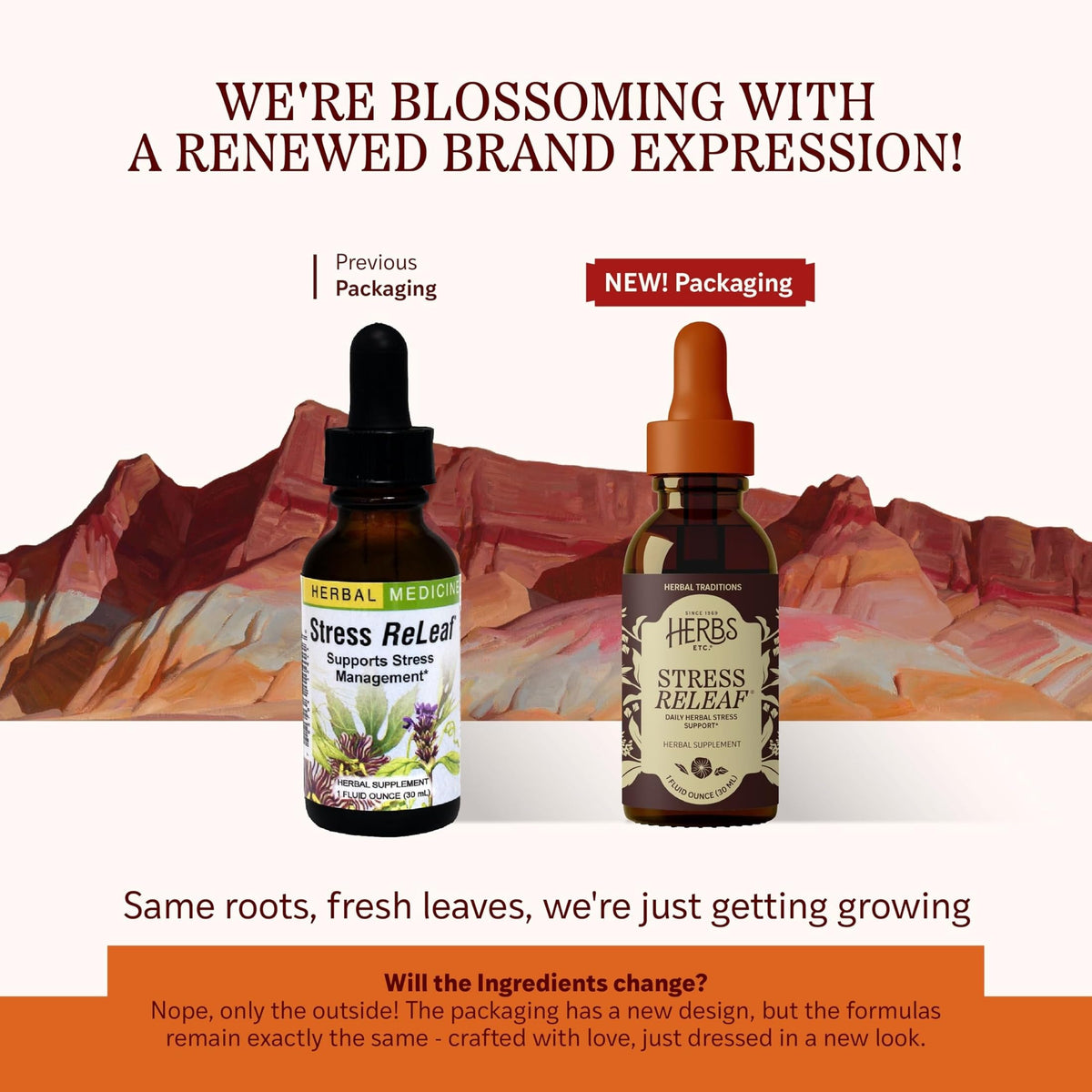 Herbs Etc. Stress ReLeaf Classic Liquid Extract - 1 fl oz - image 2