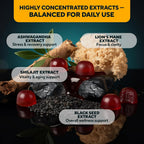 VitaUp Shilajit Parent