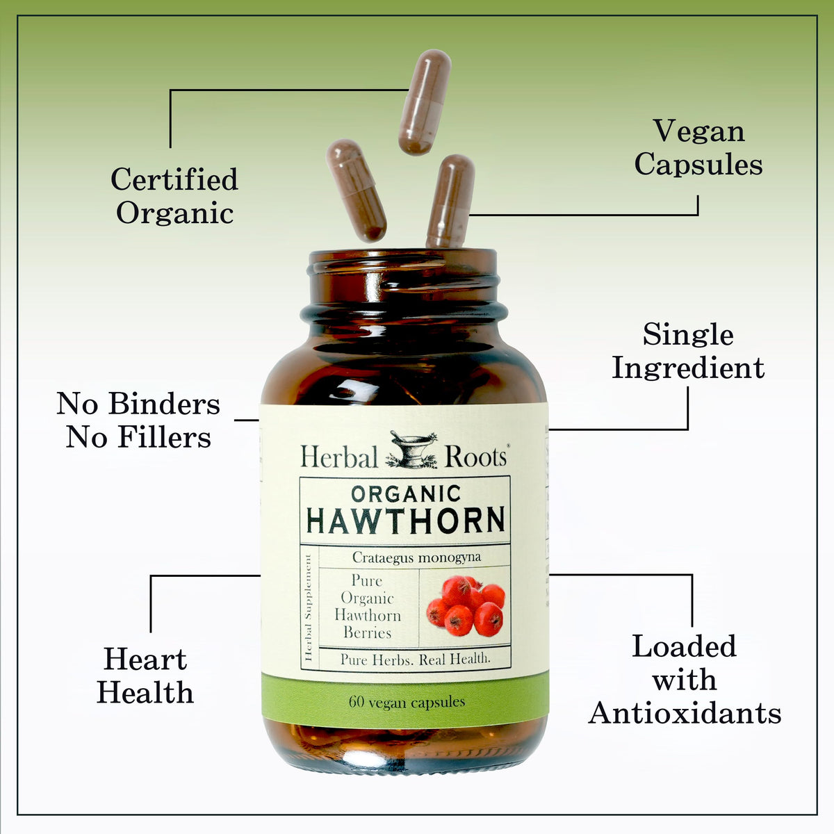 Herbal Roots Organic Hawthorn Berry Capsules 1,200mg - 60 Capsules - image 4