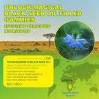 EnvyCure Black Seed Oil Gummies & Chlorophyll