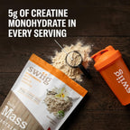 swiig Mass Builder Protein Powder