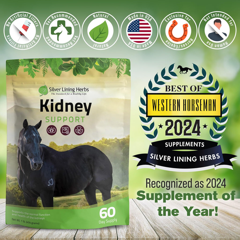 Silver Lining Herbs Kidney Support Supplement for Horses - 1 lb - image 5