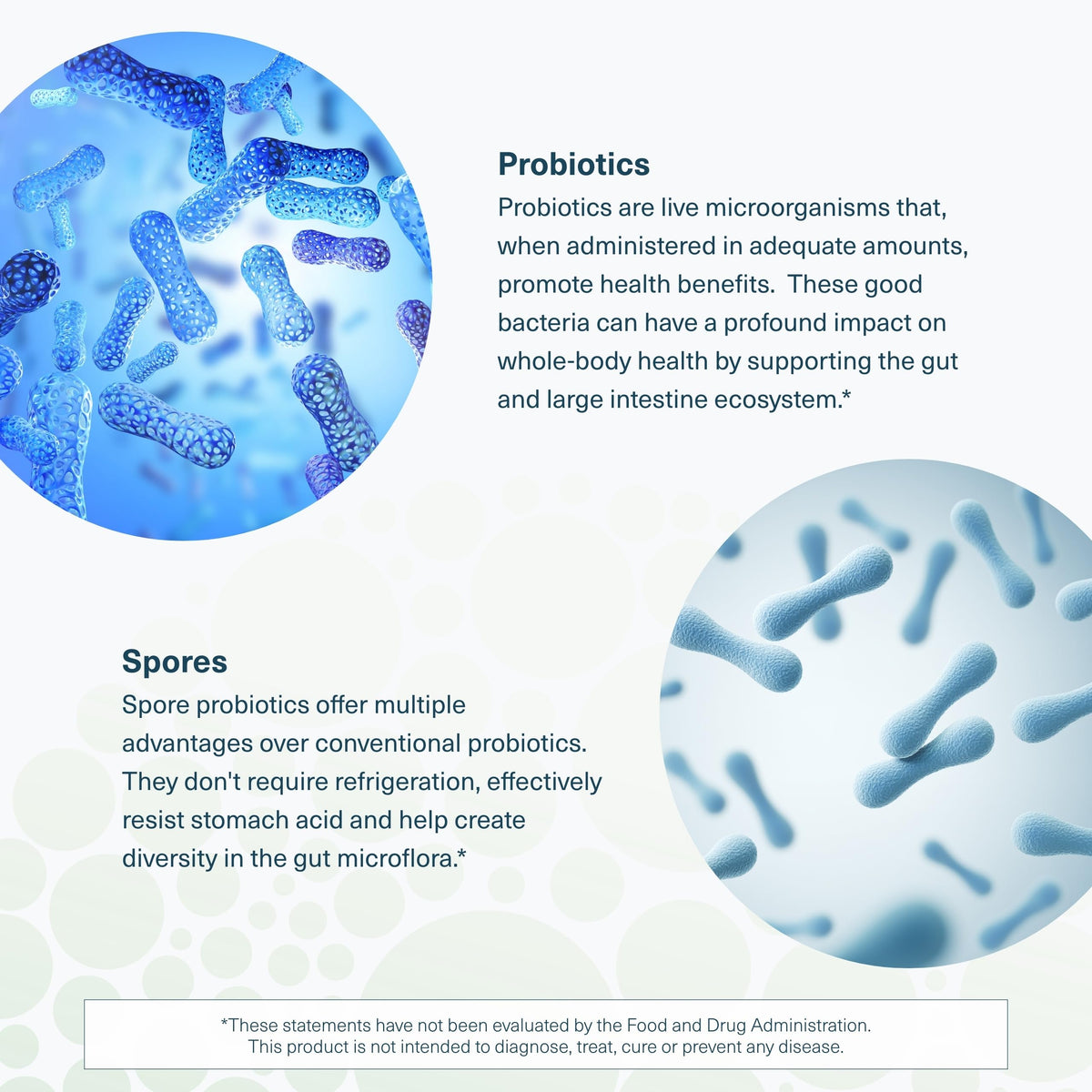 Youtheory Spore Probiotic - 60 Vegetarian Capsules - image 5