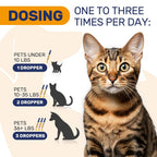 Clear Max Dog & Cat Allergy Relief Drops - 2 Fl Oz - image 4