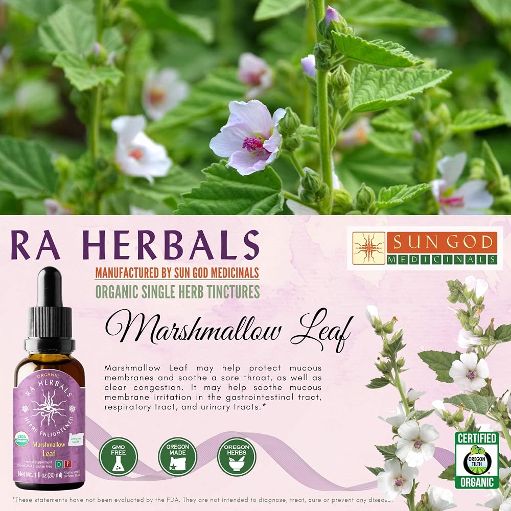 Sun God Medicinals Ra Herbals Organic Marshmallow Leaf Liquid Extract - 1 fl oz - image 3