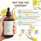 HerbEra Lomatium Alcohol-Free Herbal Extract Tincture