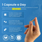 LifeStrength L-Methylfolate 7.5mg + B Complex - 60 Capsules - image 9