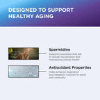 Dr. Emil Aging & Longevity Spermidine 5mg - 60 Capsules - image 5