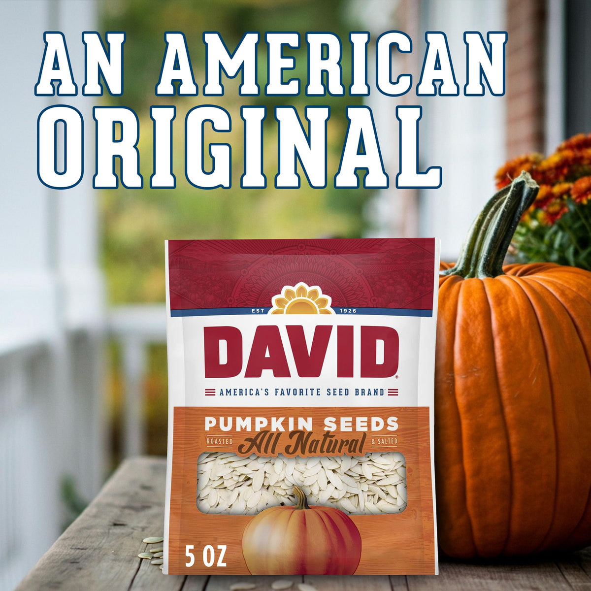 David All Natural Pumpkin Seeds, Salted & Roasted - Pack of 12 - image 6