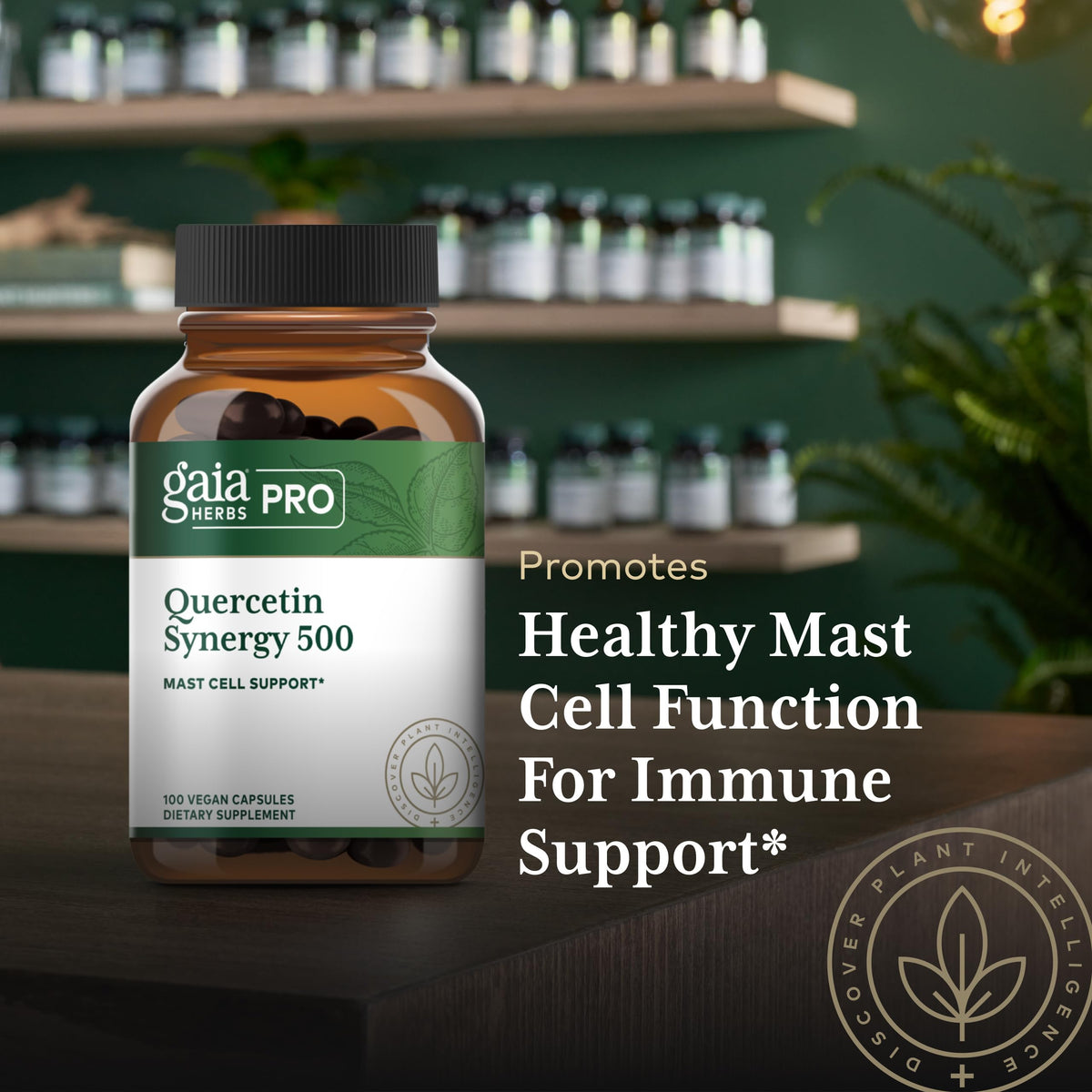 Gaia Herbs PRO Quercetin Synergy 500 - 100 Tablets - image 5