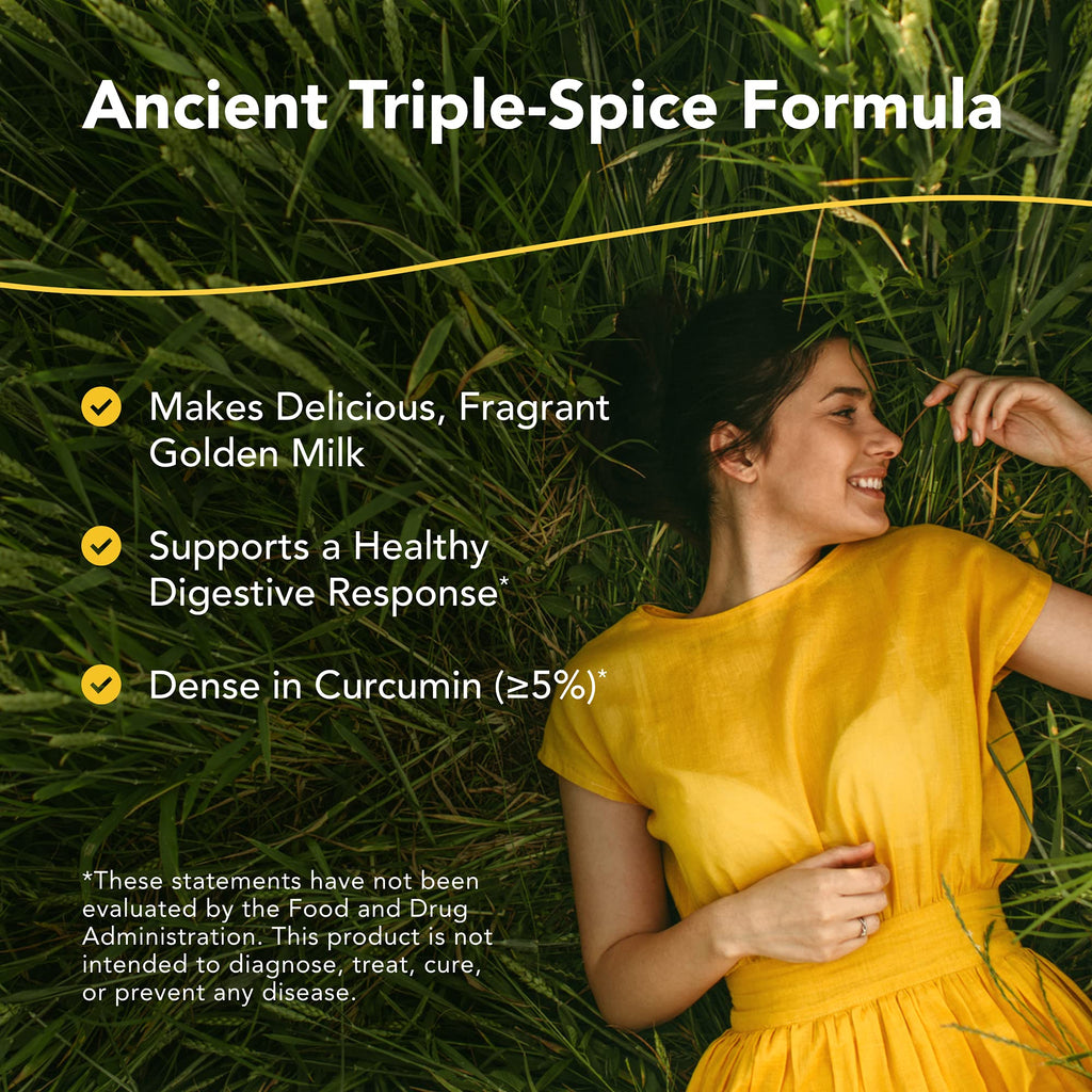 North American Herb & Spice Triple Spice Golden Latte - 140 Servings - image 7