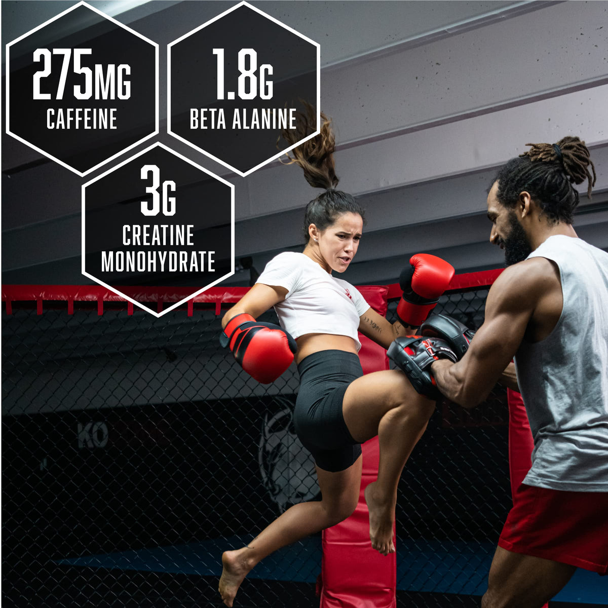 BSN N.O.-XPLODE Cool Rush Pre Workout Powder