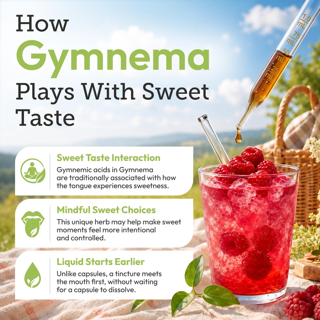 Secrets of the Tribe Gymnema Tincture Alcohol-Free Liquid Extract