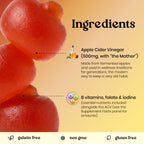 Vita Globe Apple Cider Vinegar Gummies 500mg with Mother - 30 Count - image 3